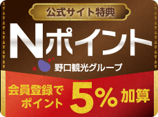 Nポイント利用